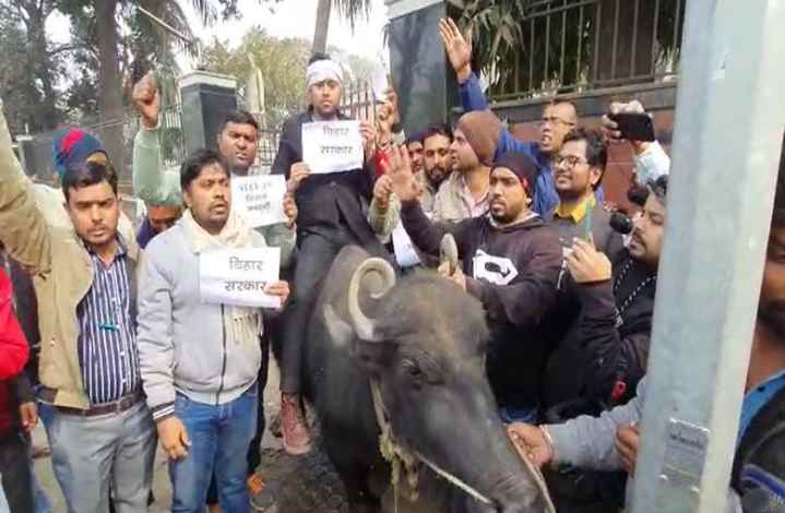 भैंस लेकर राजद कार्यालय पहुंचे STET अभ्यर्थी, अपनी मांगों को लेकर कर रहे प्रदर्शन