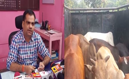 धनबाद की झरिया में गौ वंश तस्करी का खुलासा, पांच हिरासत में