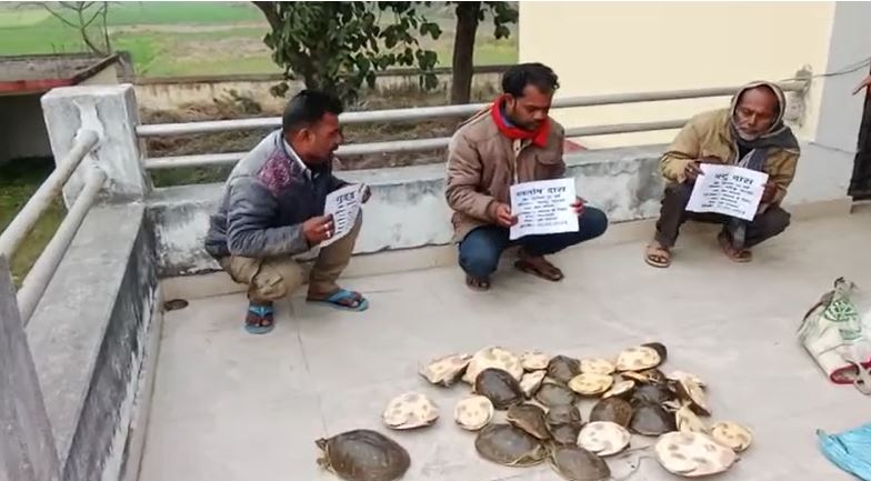 मोतीहारी में भारी मात्रा में प्रतिबंधित कछुआ के साथ तस्कर गिरफ्तार