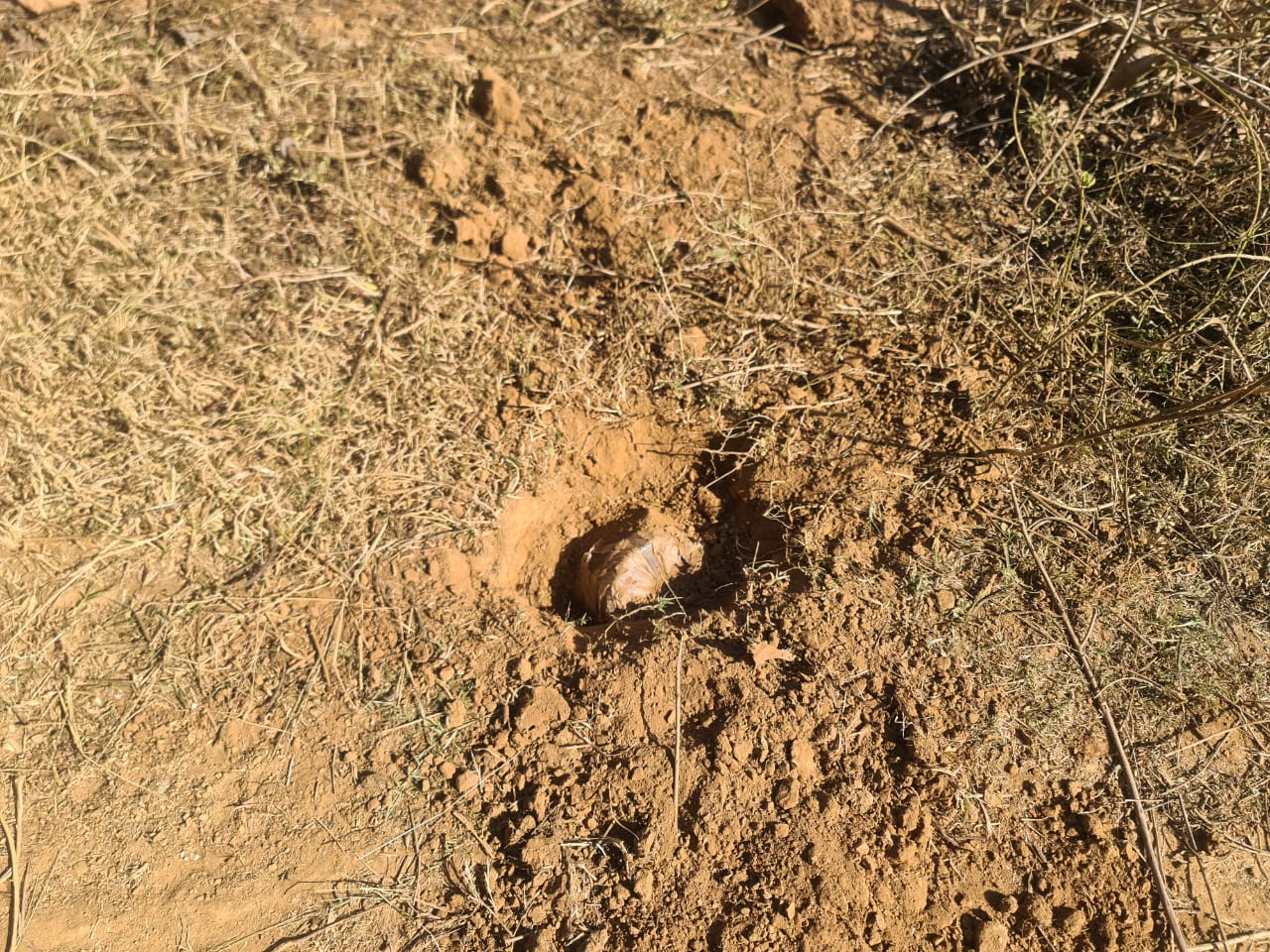 चाईबासा में आईईडी ब्लास्ट के बाद भी जारी रहा सर्च अभियान, 51 विस्फोटक आईईडी बम बरामद