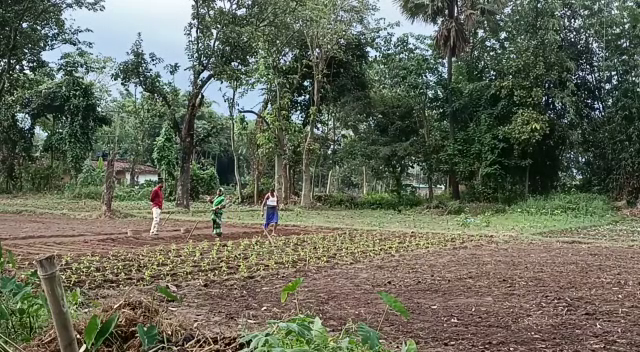 ₹265 का खाद मिल रहा ₹400 में, किसान परेशान