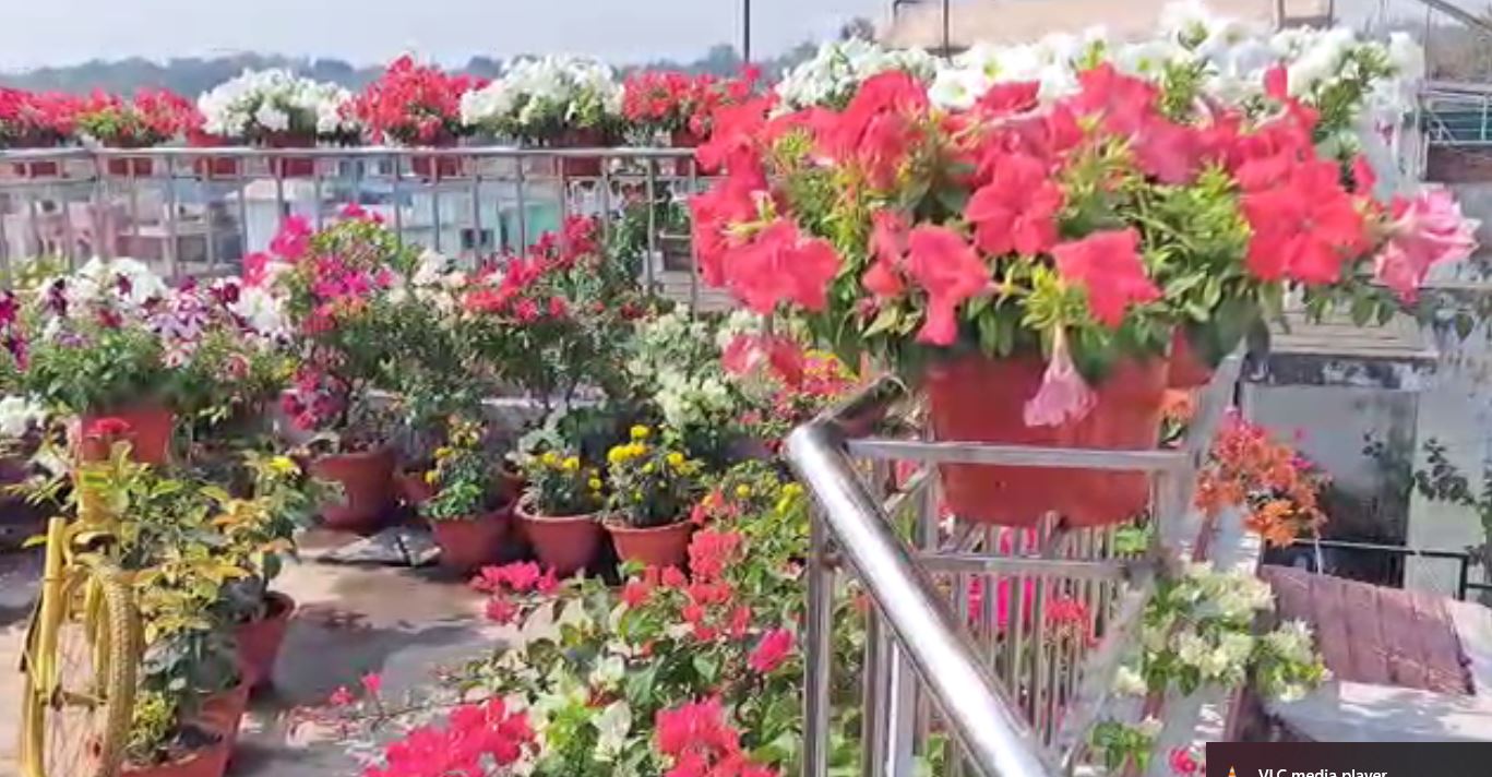 जमशेदपुर के इस बगिया को है देश के प्रधानमंत्री नरेंद्र मोदी और राज्य के सीएम  हेमंत सोरेन का इंतजार, जानिए क्या है इस फूलों की बगिया की कहानी