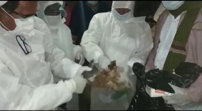 बोकारो में 1000 से अधिक मुर्गियों को मारा गया औऱ 300 अंडे किए गए नष्ट, जानें ऐसा करने का कारण