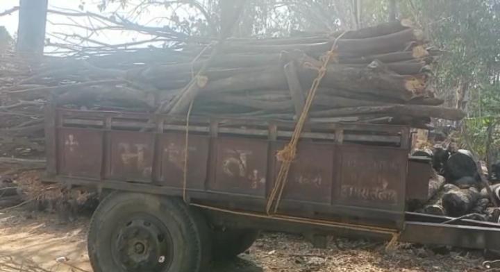 वन विभाग और पुलिस की संयुक्त टीम की कार्रवाई, अवैध लकड़ी लदा ट्रैक्टर जब्त