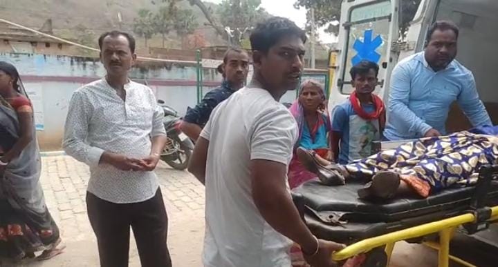 गिरिडीह : बकरी को बचाने की वजह से गई महिला की जान, जानिए कैसे