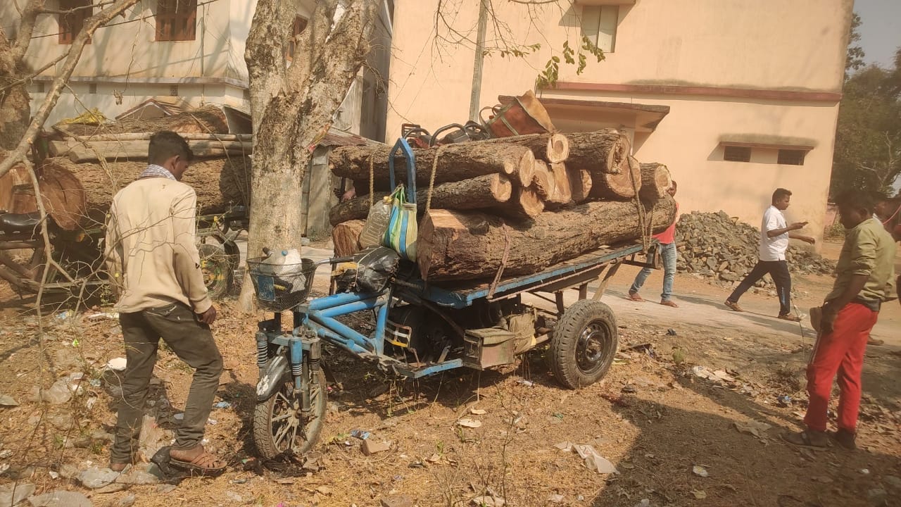 शिकारीपाड़ा में बेख़ौफ़ वन माफिया दिन के उजाले में कर रहे थे लकड़ी परिवहन, पुलिस और वन विभाग की टीम ने ट्राली की जब्त
