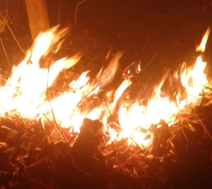 दुमका के जंगलों में फिर लगी आग, जिम्मेवार कौन? गर्मी या फिर......