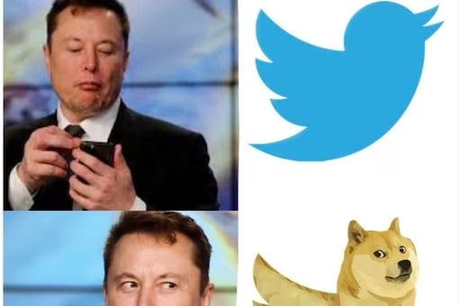 Twitter logo से चिड़िया कहां गई, एलोन मस्क ने क्यों किया बदलाव, जानिए