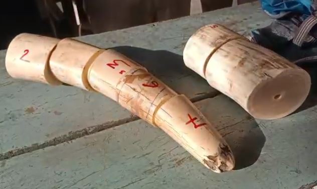 कटिहार रेलवे जंक्शन पर 7 किलो हाथी का दांत बरामद, 70 लाख आंकी गई कीमत  