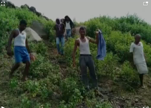 फाइलों पर कमर कसे है टास्क फोर्स, पहाड़ों पर माफियाओं की पौ-बारह, गढ़वा में धड़ल्ले से हो रहा अवैध उत्खनन