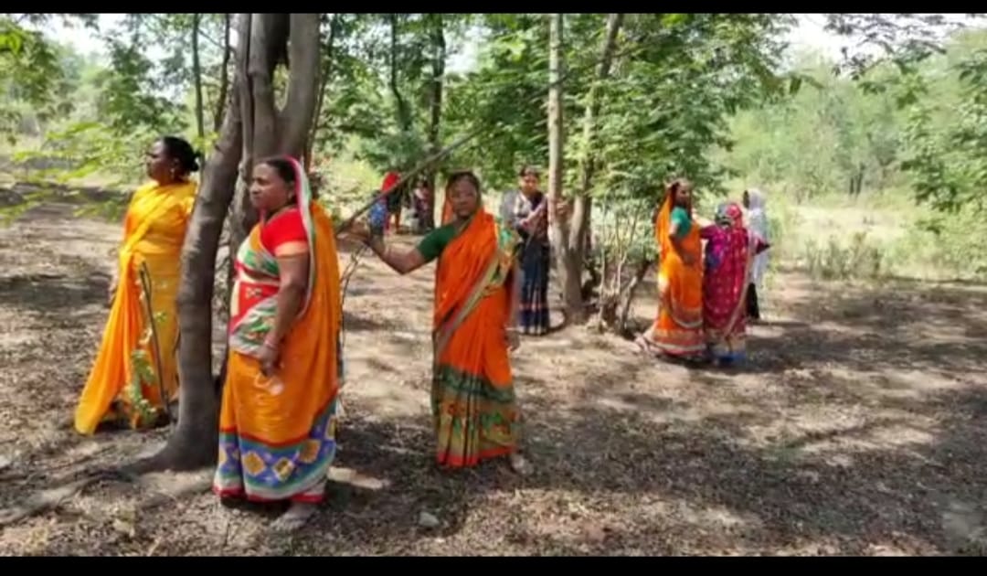 पेड़ काटने से पहले हिदायत, भुगतना पड़ेगा ये परिणाम, जानिए क्या है गांववालों का पेड़ बचाओ अभियान