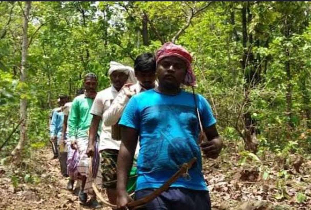 महिलाओं के मांग धोने का क्या है रहस्य, पति के घर से निकलते ही महिलायें मान लेती हैं मृत, जानिए दलमा के सेंदरा पर्व का महत्व