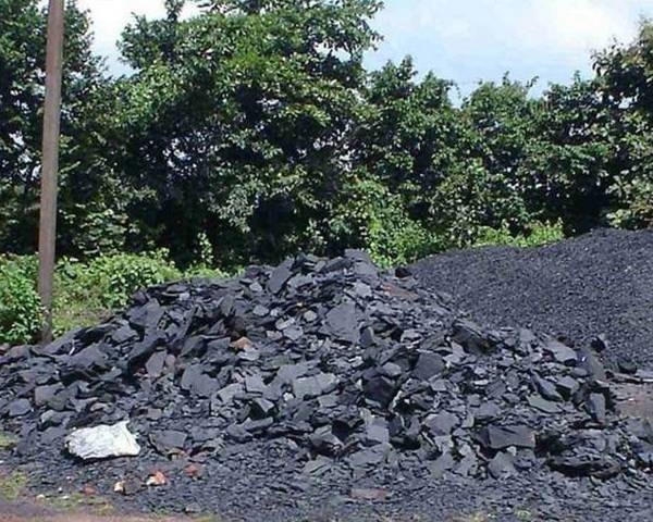 TNP SPECIAL: झारखंड में शेल कंपनियों का बढ़ता खेल, कई "मगरमच्छ" पर भी बढ़ सकता है खतरा, देखिए ये रिपोर्ट