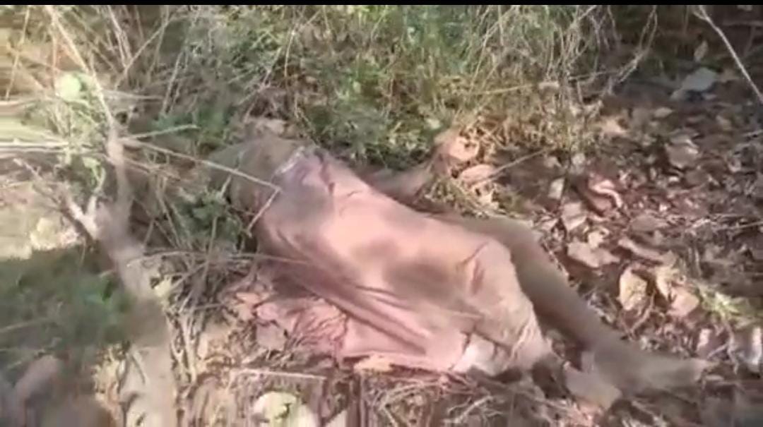 बोकारो: हाथी के हमले से वृद्ध की मौत,परिजनों ने किया मुआवजे की मांग