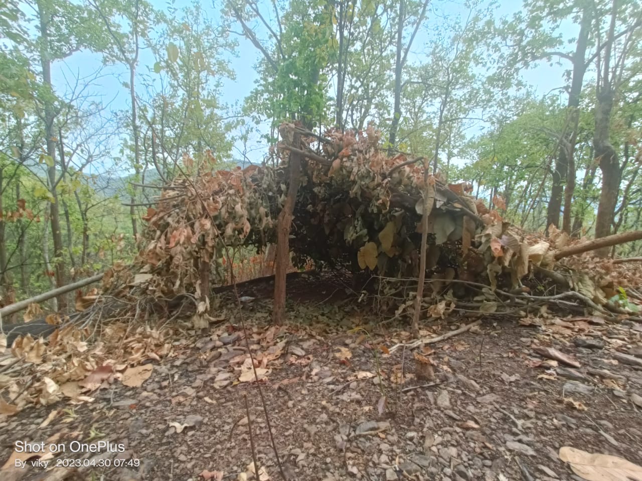 चाईबासा: पुलिस को मिली बड़ी सफलता, घनघोर जंगल में नक्सलियों का 8 कैंप ध्वस्त