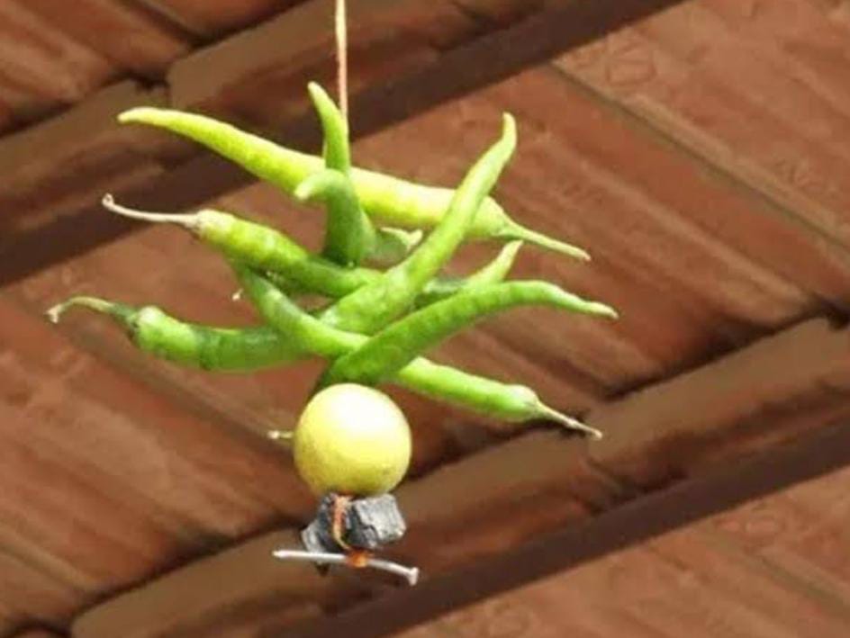 अगर इस तरीके से घर-दुकान में टांगते है नींबू-मिर्ची तो तुरंत बदले तरीका, नहीं तो होगा नुकसान   