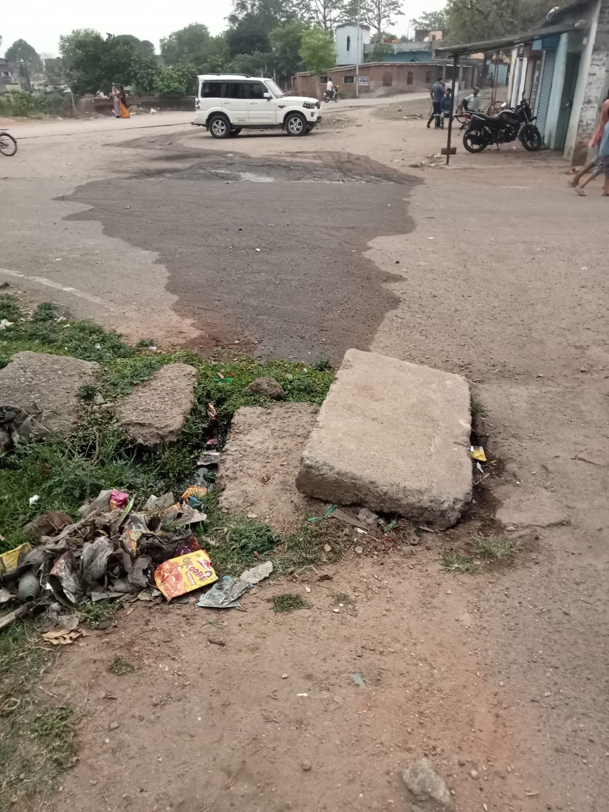 नाले का पानी कॉलोनी वासियों के लिए परेशानी, शिकायत के बाद भी अधिकारी नहीं दे रहे ध्यान 