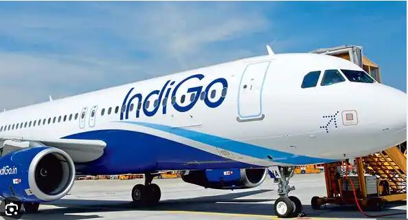 मंगलुरु में इंडिगो की फ्लाइट से टकराया एक परिंदा, दुबई जा रहे 160 मुसाफिरों की बाल-बाल बची जान, जानिए पूरी डिटेल्स