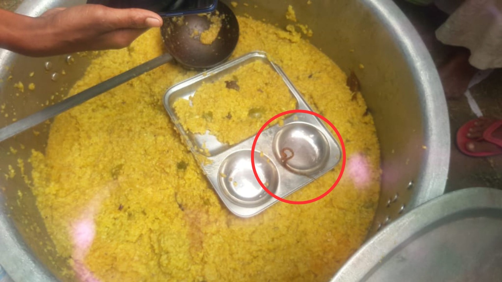 बच्चों के मिड डे मील में मिला सांप, सैकड़ों बच्चे बीमार, इलाके में मचा हड़कंप