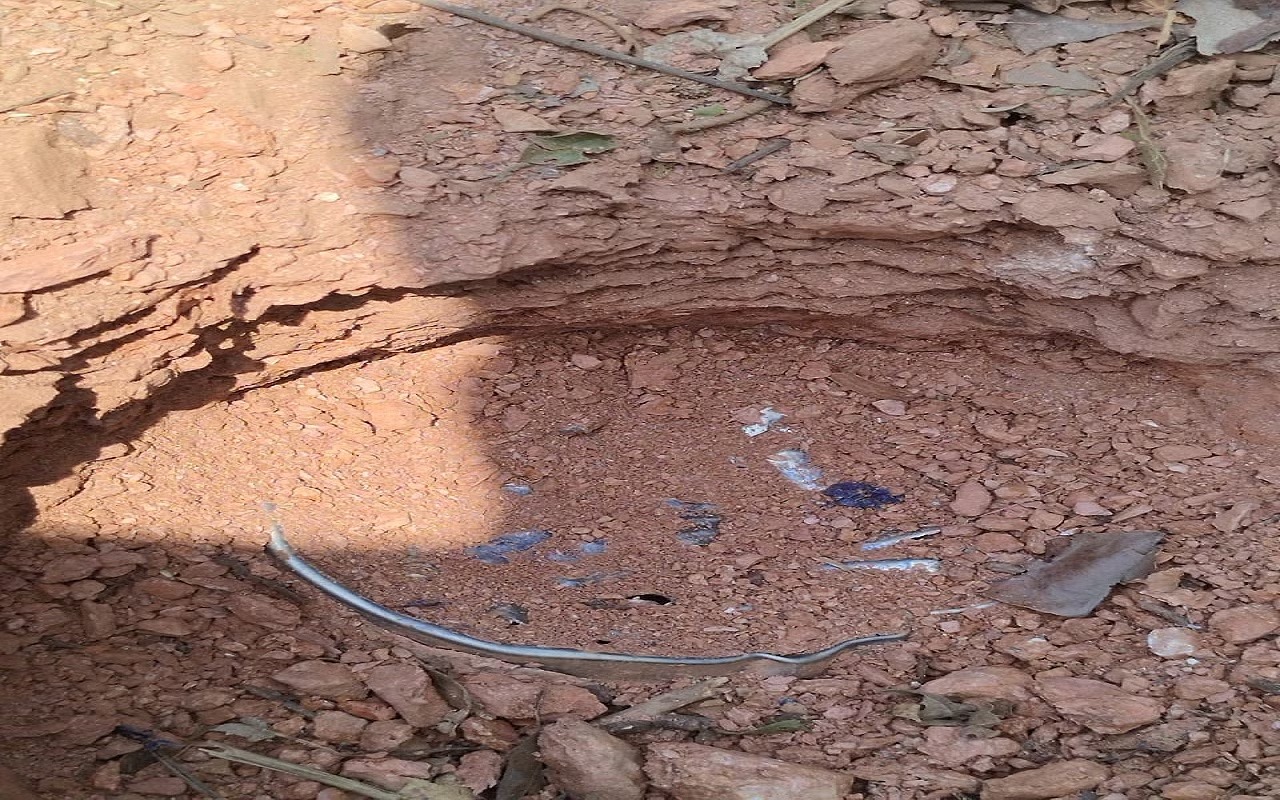 नक्सलियों का नया हथियार ! सिरिंज का इस्तेमाल कर बना रहे प्रेशर बम, सुरक्षाबलों ने किया खुलासा