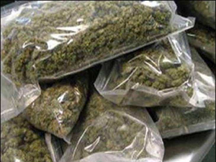 NCB के अधिकारियों ने रांची में गांजा की बड़ी खेप पकड़ी, तीन तस्कर गिरफ्तार, जानिए कहां से किया बरामद