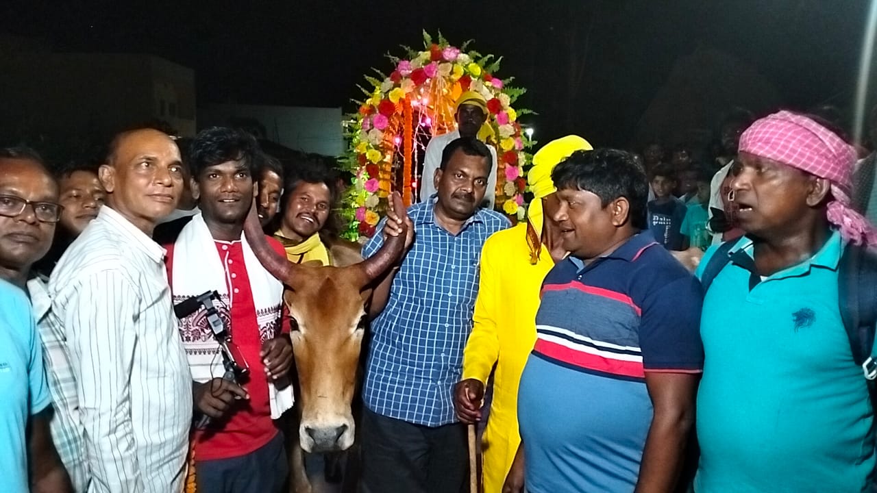 घोड़ी छोड़ बैलगाड़ी पर सवार हुए दुल्हे राजा, दुल्हनियां को लेने पहुंचे ससुराल, जानें फिर क्या हुआ