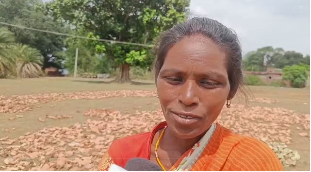 लोहरदगा के पठार में फैले पेड़-पौधे से ग्रामीणों की बदल रही जिंदगी, बीड़ी के पत्ते बेचकर हो रही आमदानी, देखिए यह रिपोर्ट