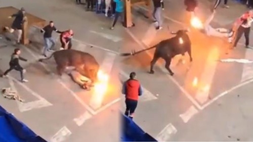 सांड के सिंग पर बांधा जलता हुआ कपड़ा, गुस्साये सांड ने एक व्यक्ति को किया अधमरा,वीडियो वाइरल