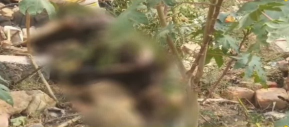 कोडरमा में रेलवे ओवर ब्रिज के नीचे मिला नर कंकाल, जांच में जुटी पुलिस  