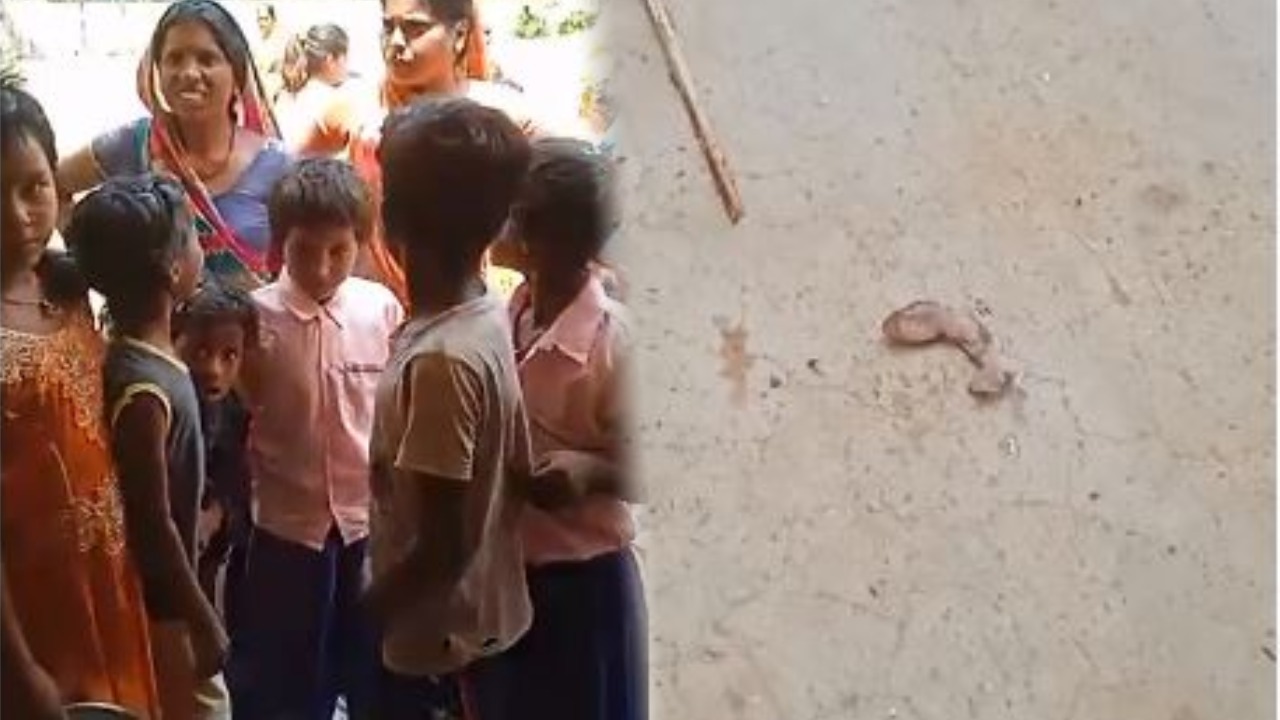 मध्यान भोजन में छिपकली मिलने से कई बच्चे बीमार, झारखंड के इस जिले का है मामला