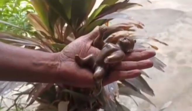 उप्र के दंपती से अष्टधातु की मूर्ति बरामद, पुलिस ने पकड़ा