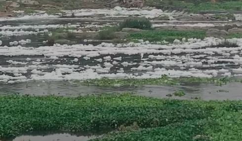 झाग में तब्दील हुआ स्वर्णरेखा-खरकाई नदी का पानी,तड़पकर मर रही मछलियां