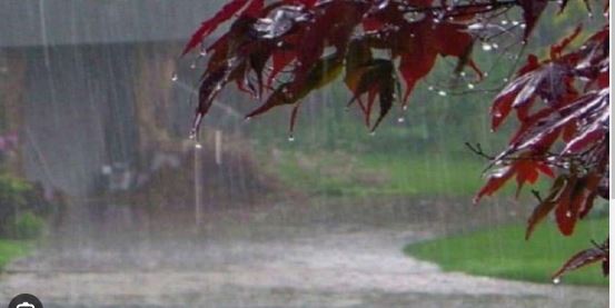 झारखंड में थोड़ा कमजोर हुआ मॉनसून, अगले चार दिनों में तापमान में होगी बढ़ोत्तरी!