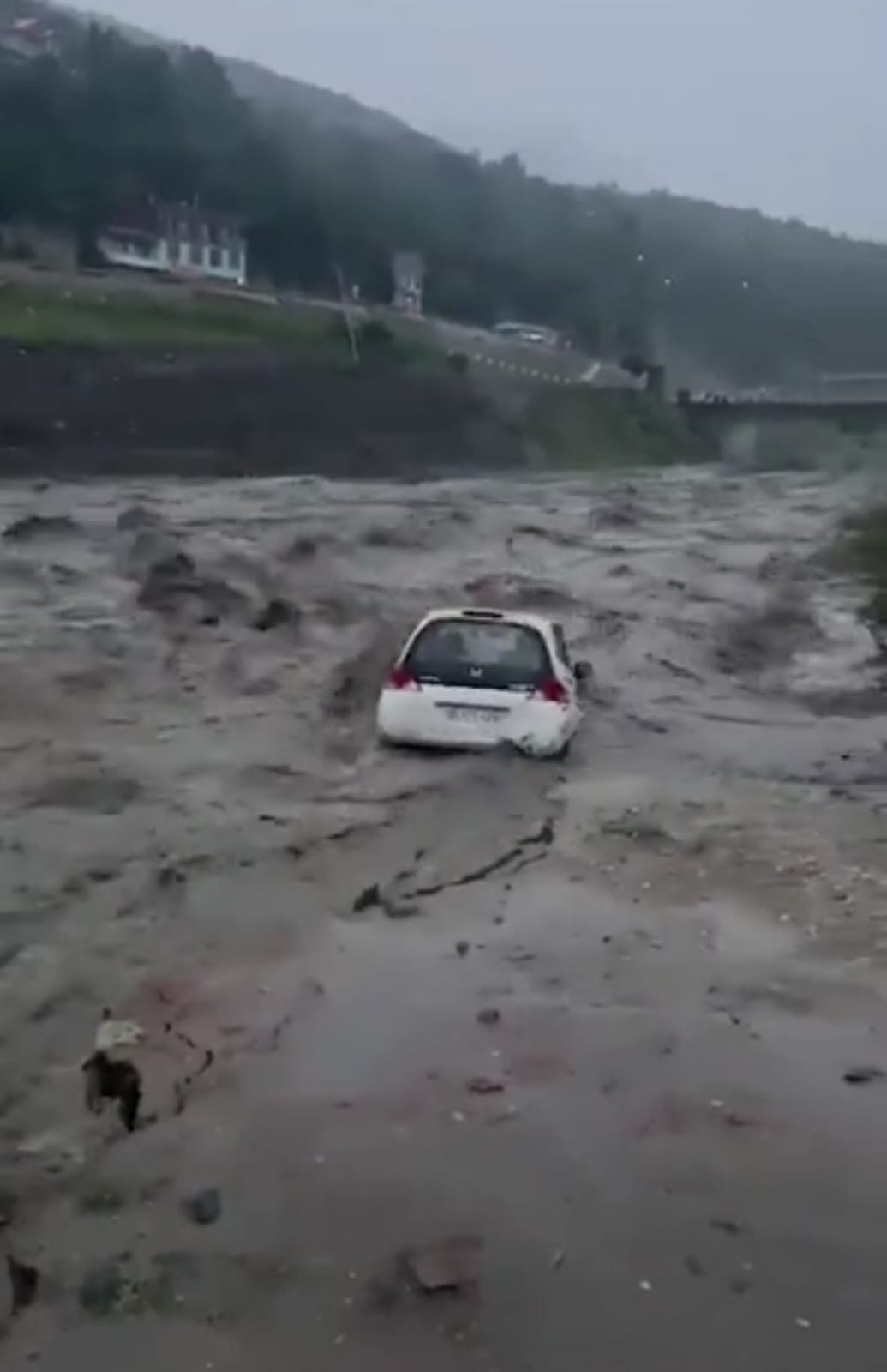 हिमाचल प्रदेश में बारिश का कहर, करोड़ों का नुकसान, 15 से अधिक लोगों की मौत