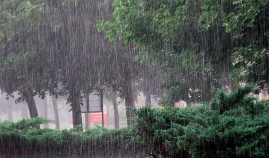 झारखंड में सोमवार तक जमकर बारिश के आसार, येलो अलर्ट भी जारी