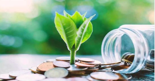 शेयर बाजार में तेजी का दिखा असर, स्मॉल कैप फंड में बढ़ा निवेश