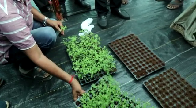 जैविक विधि से एक लाख पौधा तैयार करने के लिए नर्सरी का शुभारंभ