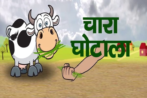 चारा घोटाले के 26 साल पुराने मामले में सुनवाई पूरी,CBI कोर्ट ने फैसला रखा सुरक्षित,जानिए पूरा मामला
