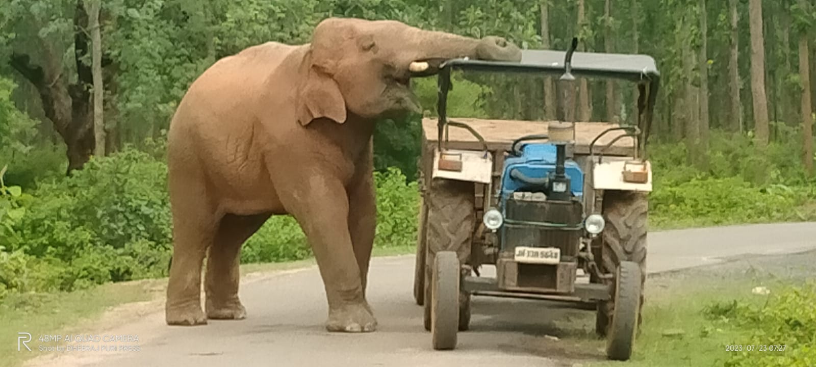 यह कोई फिल्मी दृश्य नहीं! देखिये डेढ़ घंटे तक बालू लदे ट्रैक्टर पर कैसे कब्ज़ा जमाये रहा हाथी