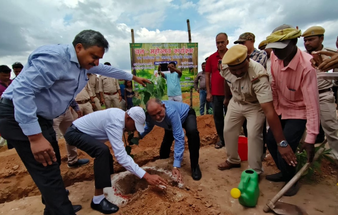 गिरिडीह में वन महोत्सव का आयोजन, सीसीएल ने दिया 70 लाख का फंड, लगाए जाने हैं 70 हजार पौधे