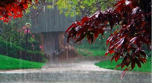 झारखंड में 30 जुलाई तक मॉनसून रहेगा एक्टिव, गरज के साथ बरसेगा जोरदार पानी!