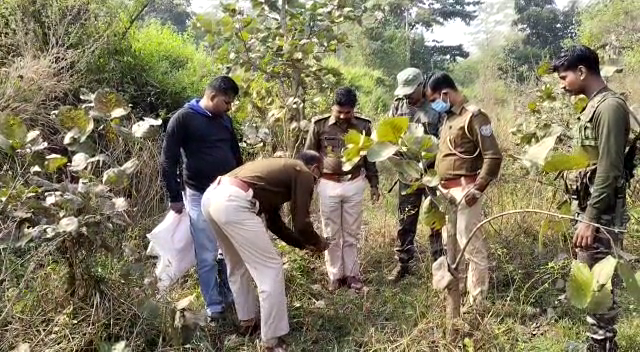 सड़क किनारे जंगल में मिला महिला का कटा सिर, इलाके में हड़कंप