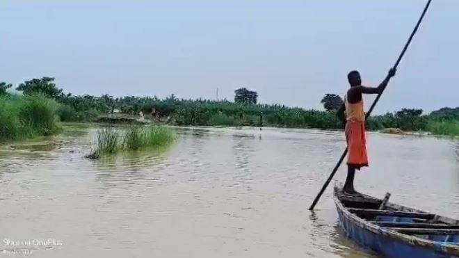 मोतिहारी में उफान पर गंगा की धार, बागमती और लालबकेया नदी खतरे के निशान पर, निचले इलाके में घुसा पानी 