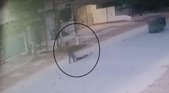 नेशनल हाई-वे पर डबल मर्डर: ईंट और रॉड से पीट-पीटकर 2 बुजुर्गों की हत्या, शव को हाई-वे पर घसीटता रहा आरोपी