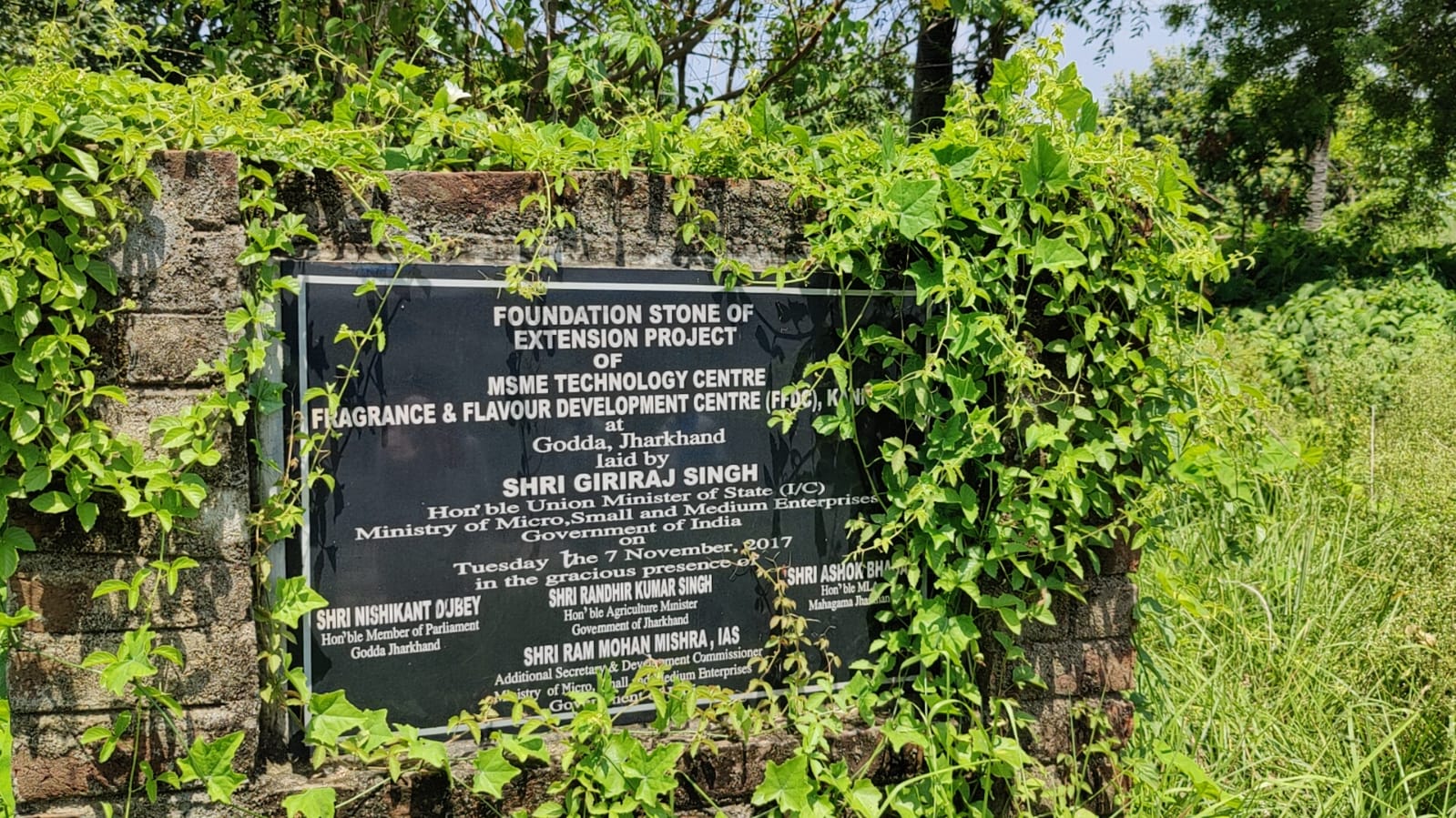 निशिकांत के दावों की खुली कलई! सबूतों के साथ सामने आयी दीपिका पाडेंय, देखिये कैसे झाड़ियों में जंग खाता मिला शिलापट्ट