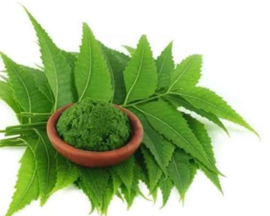 सुबह-सुबह नीम की पत्तियों के सेवन से दूर होता है डायबिटीज, जानें इसके तीन चमत्कारी फायदे   