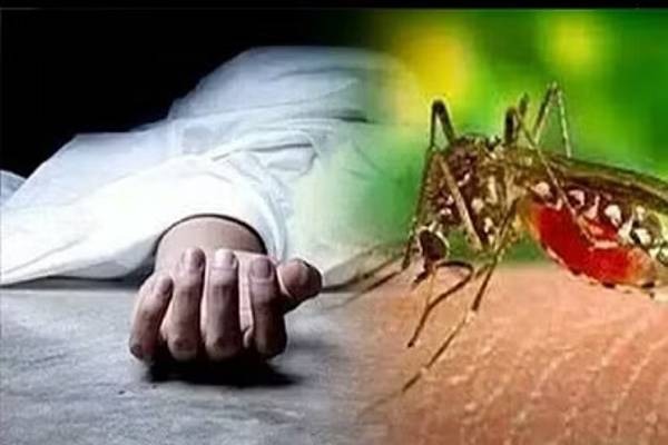 जमशेदपुर में डेंगू से एक और मरीज की मौत, 12 नए पॉजिटिव मरीज मिले
