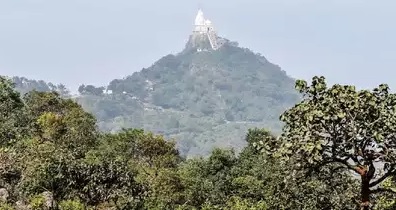 पारसनाथ पहाड़ में पुलिस ने चलाया सर्च ऑपरेशन, नक्सलियों द्वारा छिपाए गए विस्फोटक मिलने की आशंका !