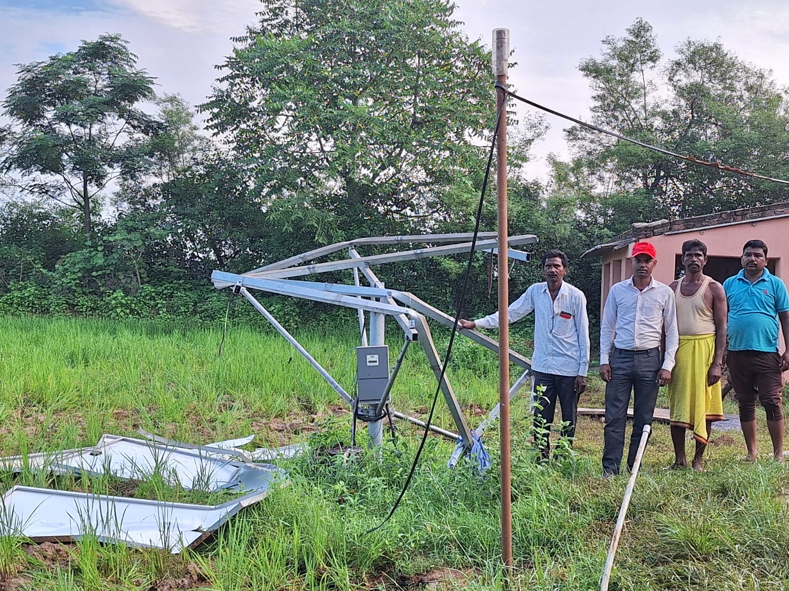 डुमरी में लगातार दूसरे दिन हाथियों का आतंक जारी, कई एकड़ धान की खेती किया बर्बाद