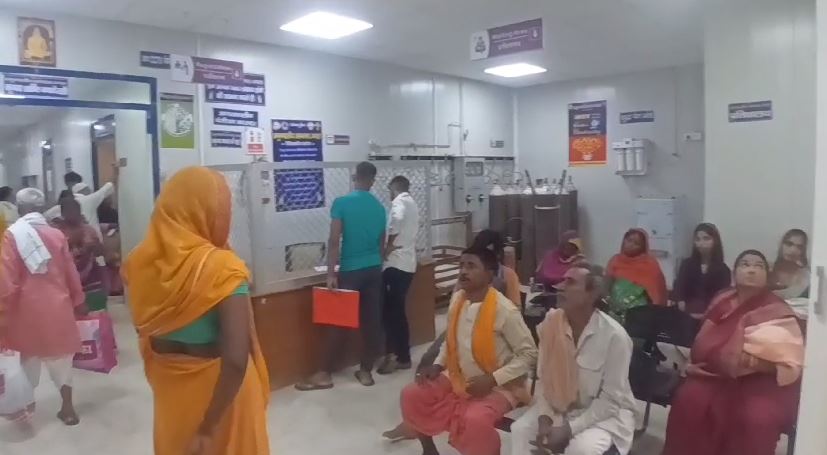 रैबिज डे पर कुत्तों का बढ़ा आतंक, 7 लोगों  को आवारा कुत्तों ने काटा 